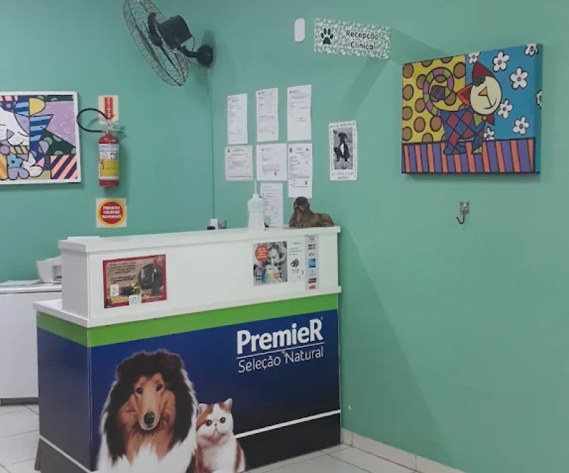 Clinica Veterinária Zooflora - Pronto atendimento e Emergência Veterinária 24 Horas em Florianópolis — foto 4