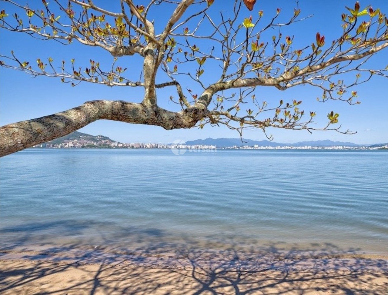 Condomínio Madre Bertha em Florianópolis — foto 4