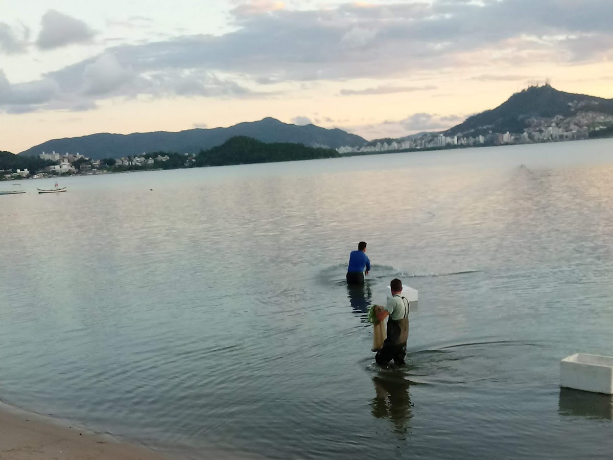 Condominio Sao Thiago em Florianópolis — foto 2