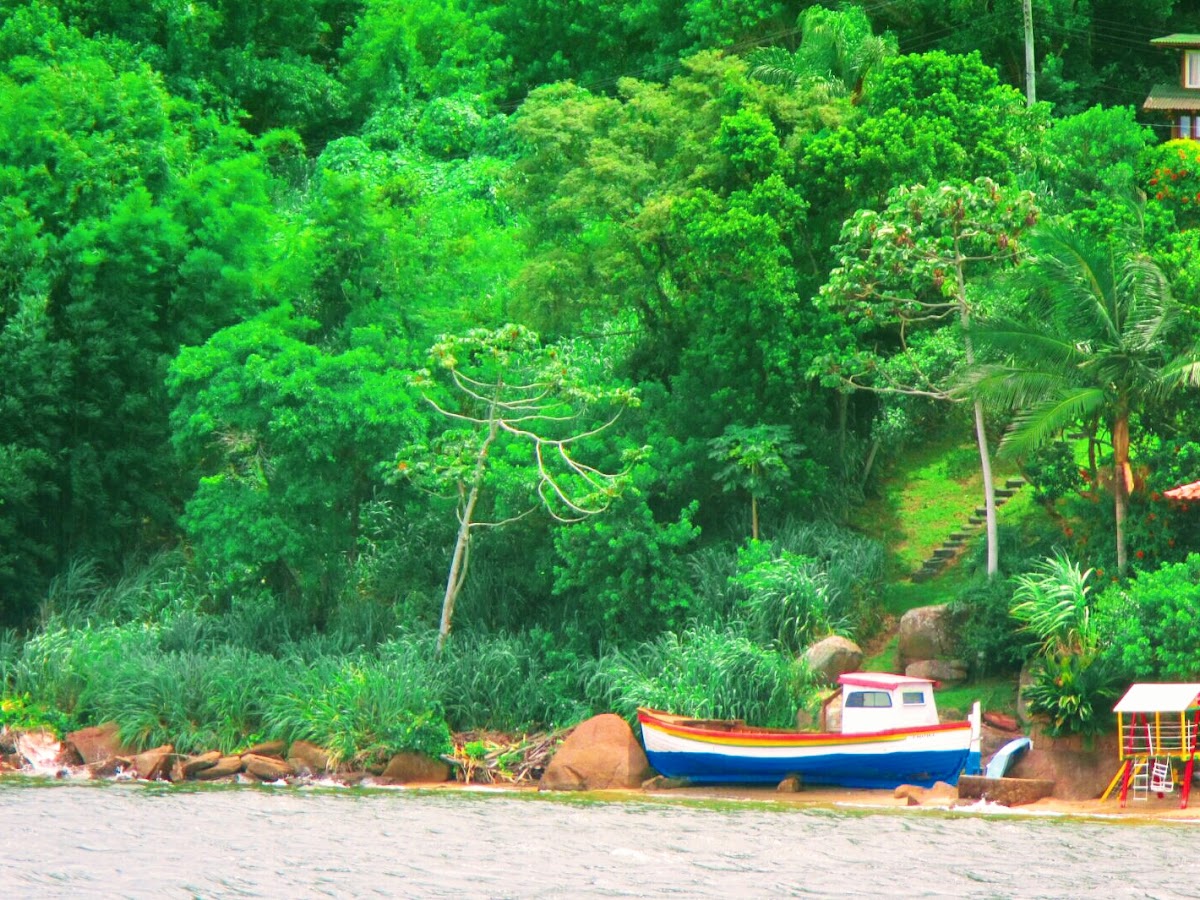 Logo Curta Floripa
