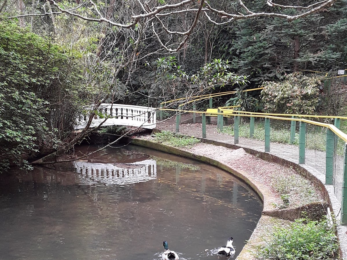 CVPI - Centro Vivencial para Pessoas Idosas em Florianópolis — foto 1