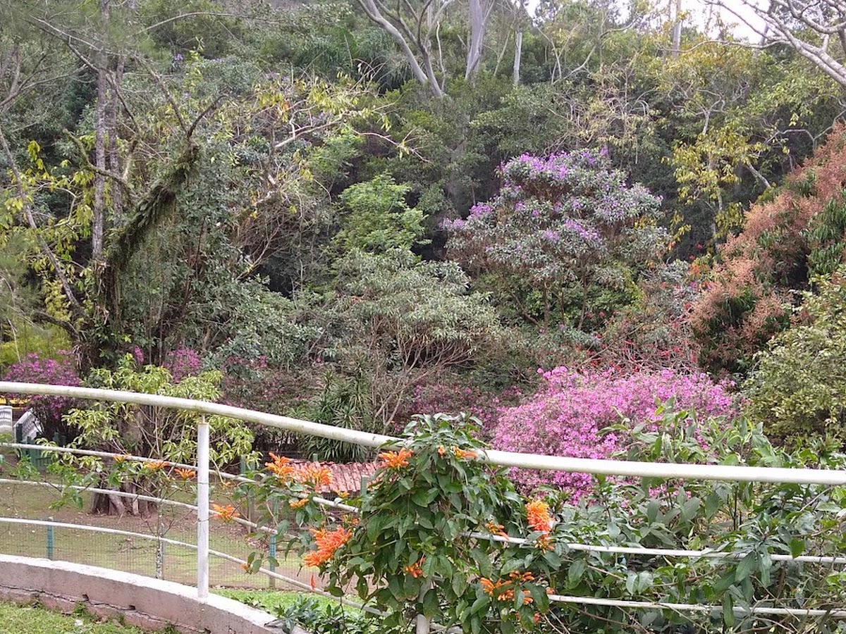 CVPI - Centro Vivencial para Pessoas Idosas em Florianópolis — foto 2