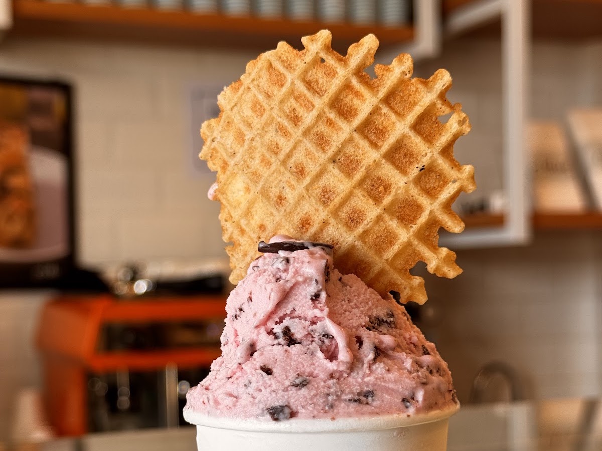 Due Gelato & Café em Florianópolis — foto 2