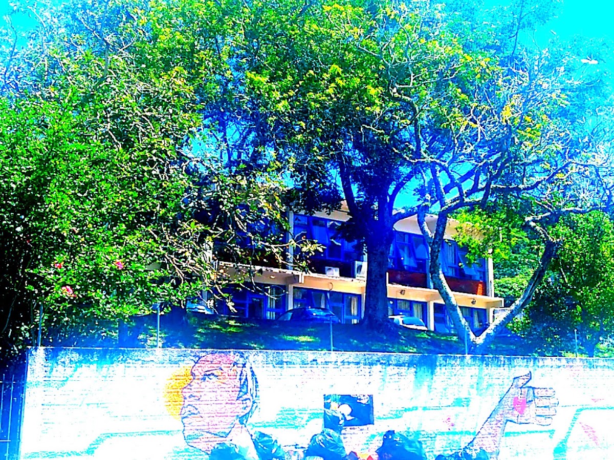 EEB Jurema Cavallazzi em Florianópolis — foto 4