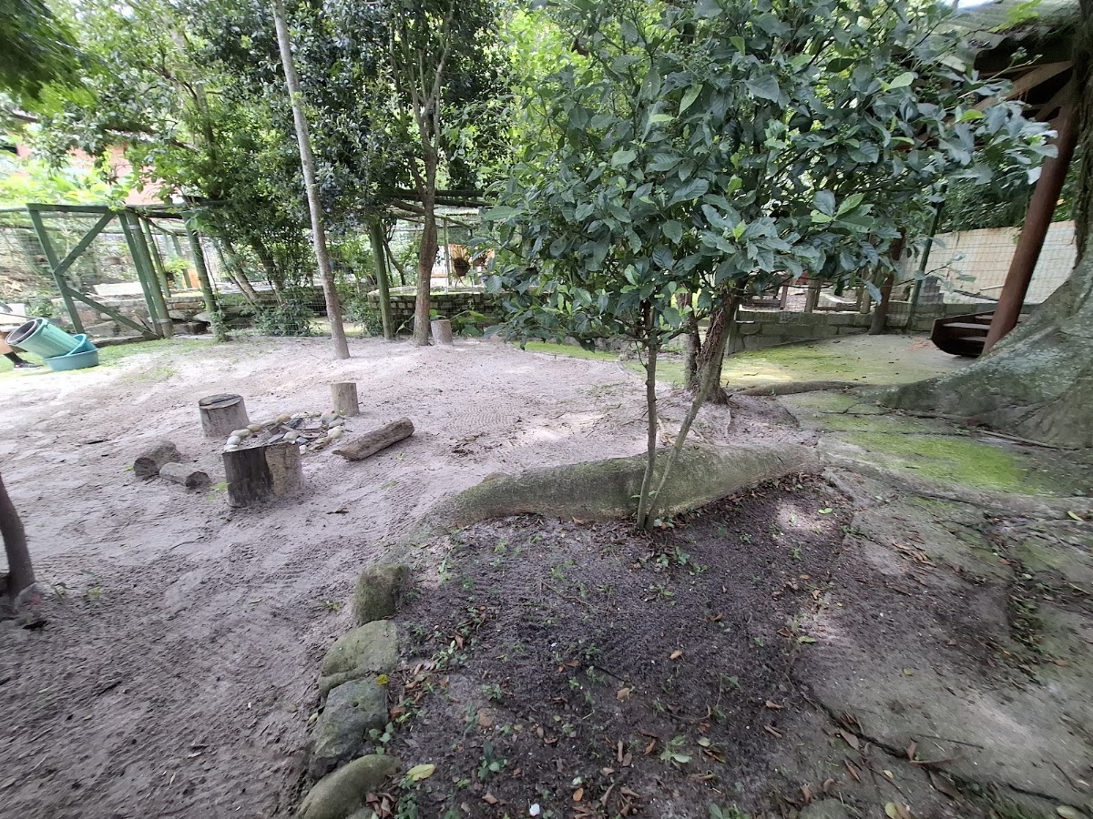 Escola Aiyê: a escola da Terra em Florianópolis — foto 3