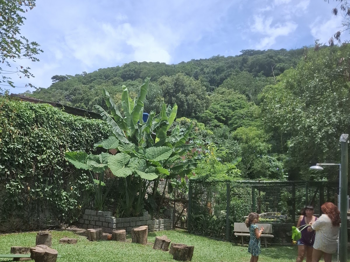 Escola Aiyê: a escola da Terra em Florianópolis — foto 4