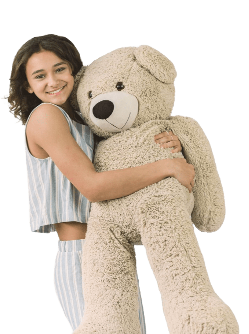 Escola de Inglês Teddy Bear em Florianópolis — foto 4