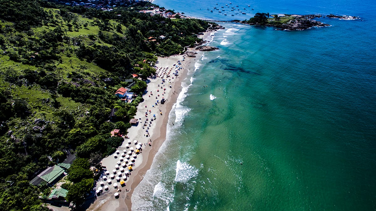 Escola de Surf Ilha da Magia em Florianópolis — foto 3