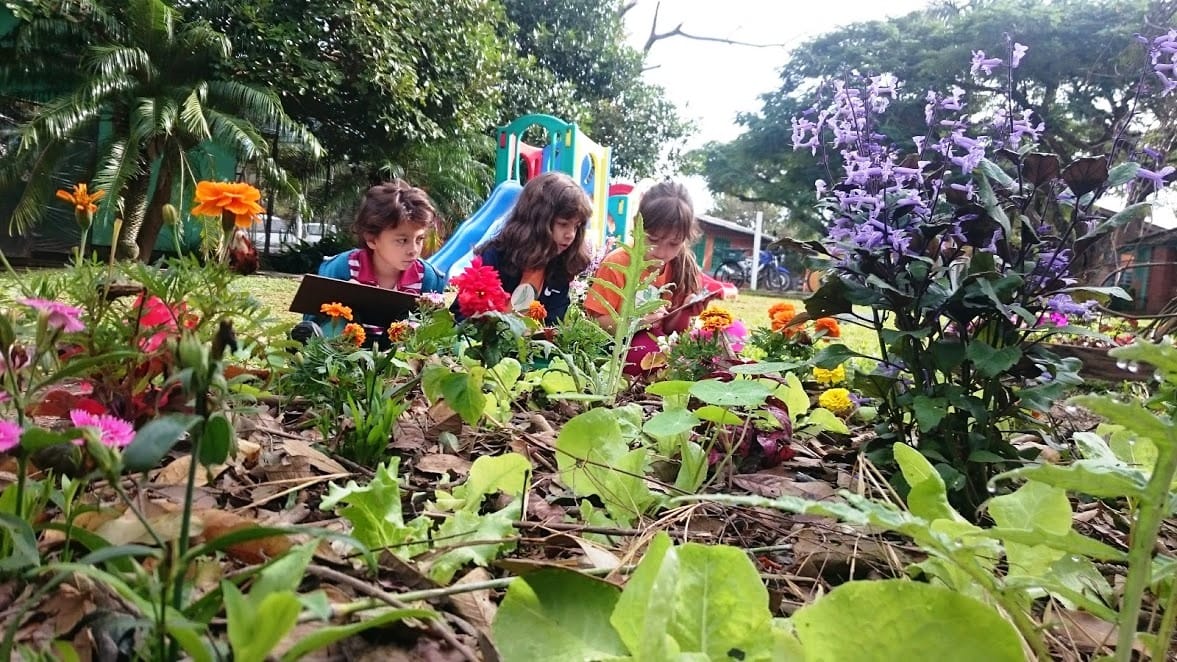 Escola dos Sonhos em Florianópolis — foto 2