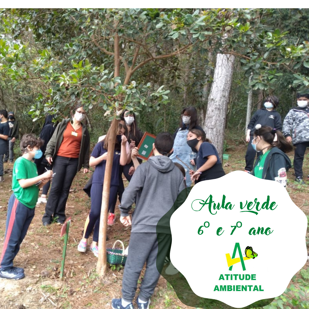 Escola em Canasvieiras em Florianópolis — foto 2