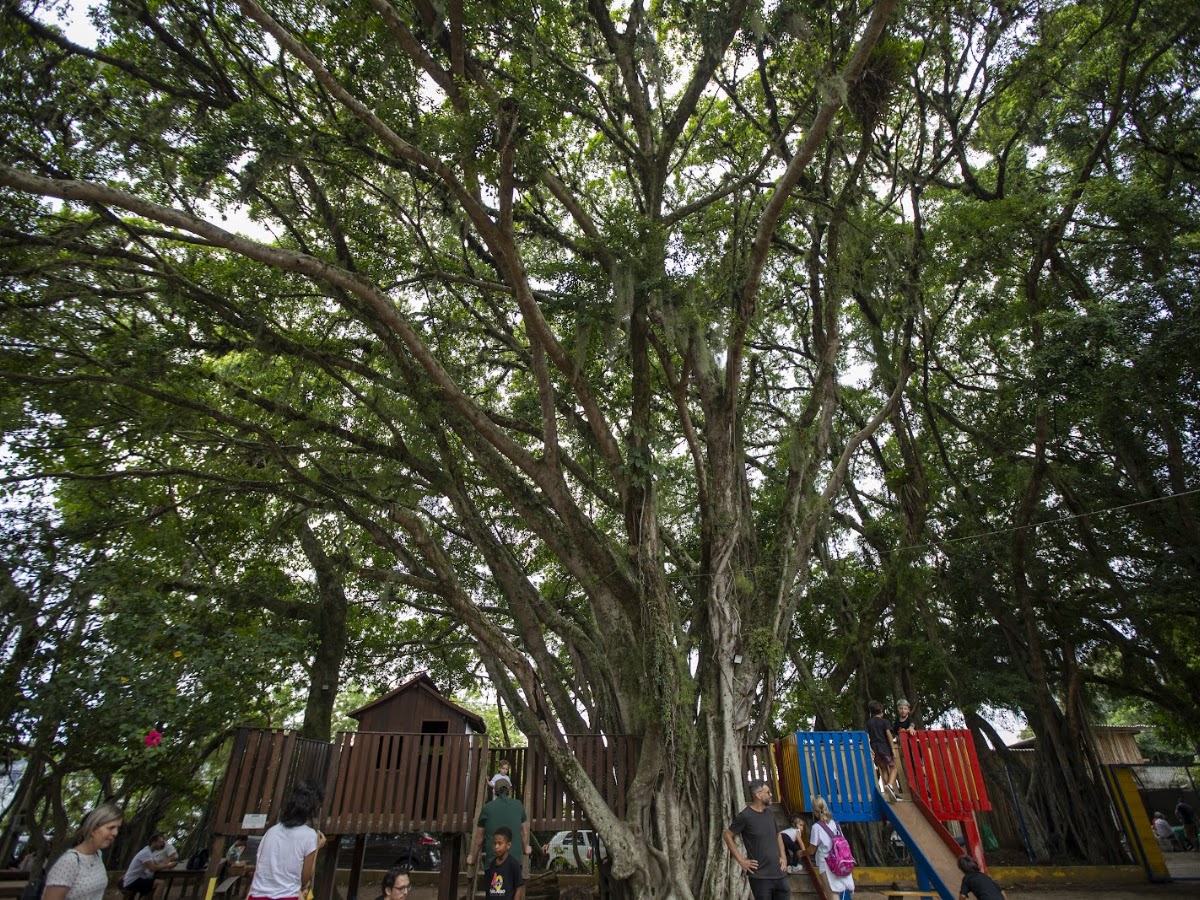 Escola Praia do Riso em Florianópolis — foto 1