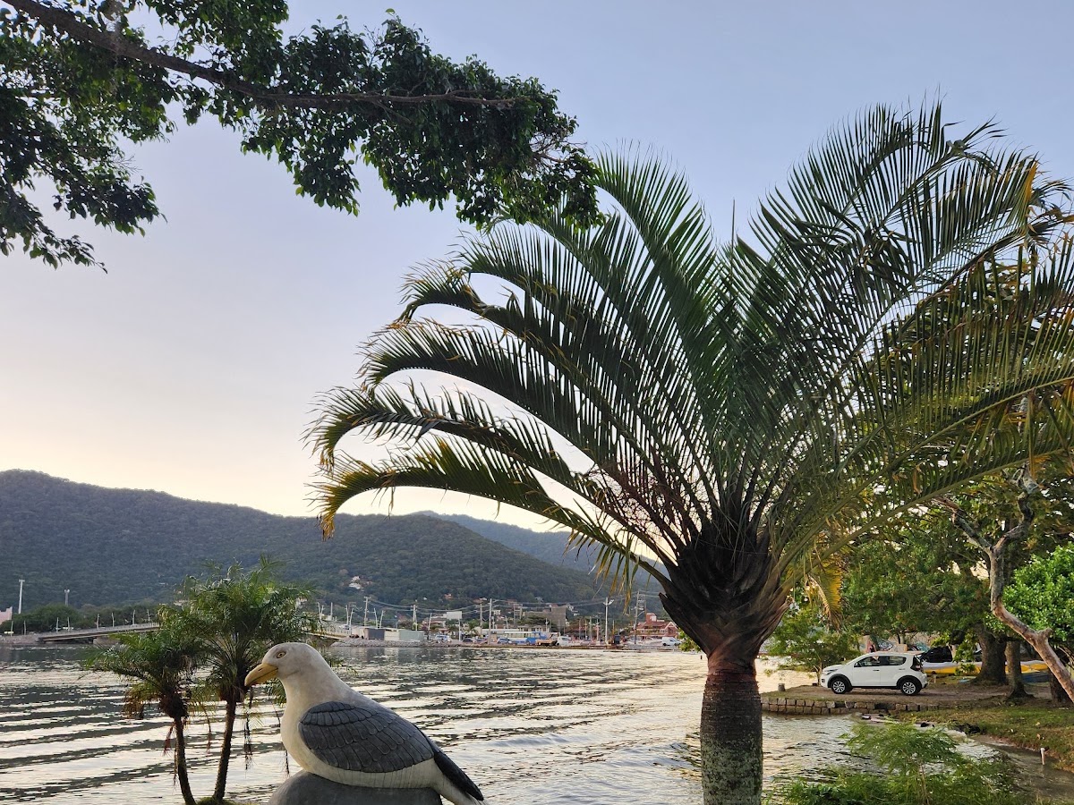 Estacionamento Free em Florianópolis — foto 1