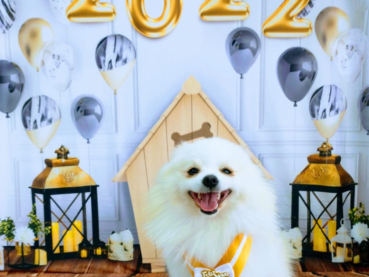 Logo Estilo Pet Shop