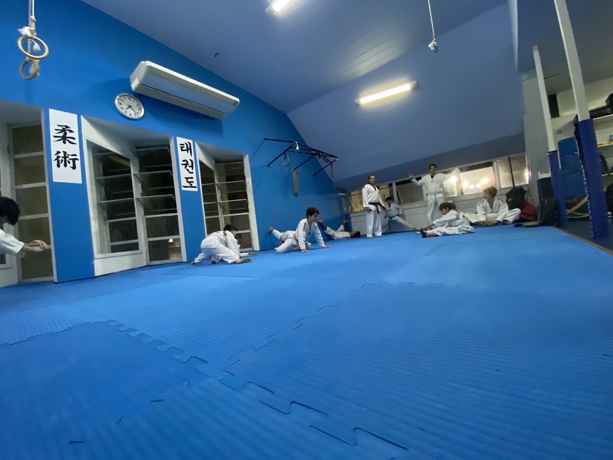 Evandro Garcia Taekwondo e Treinamento Personalizad em Florianópolis — foto 2