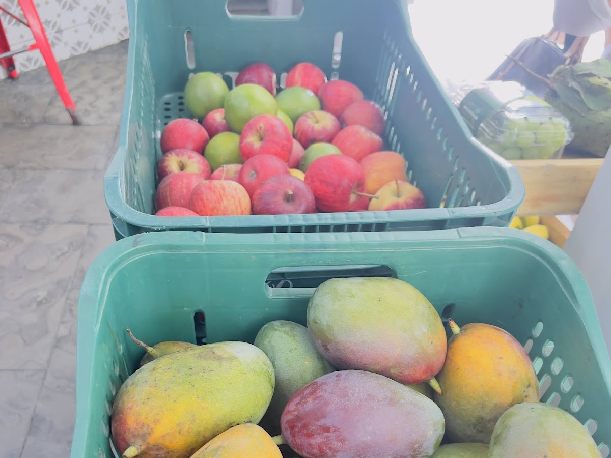 Filho da Fruta em Florianópolis — foto 4
