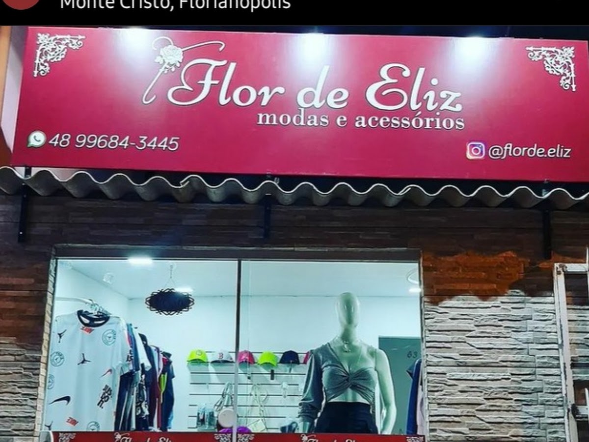 Logo Flor de Eliz