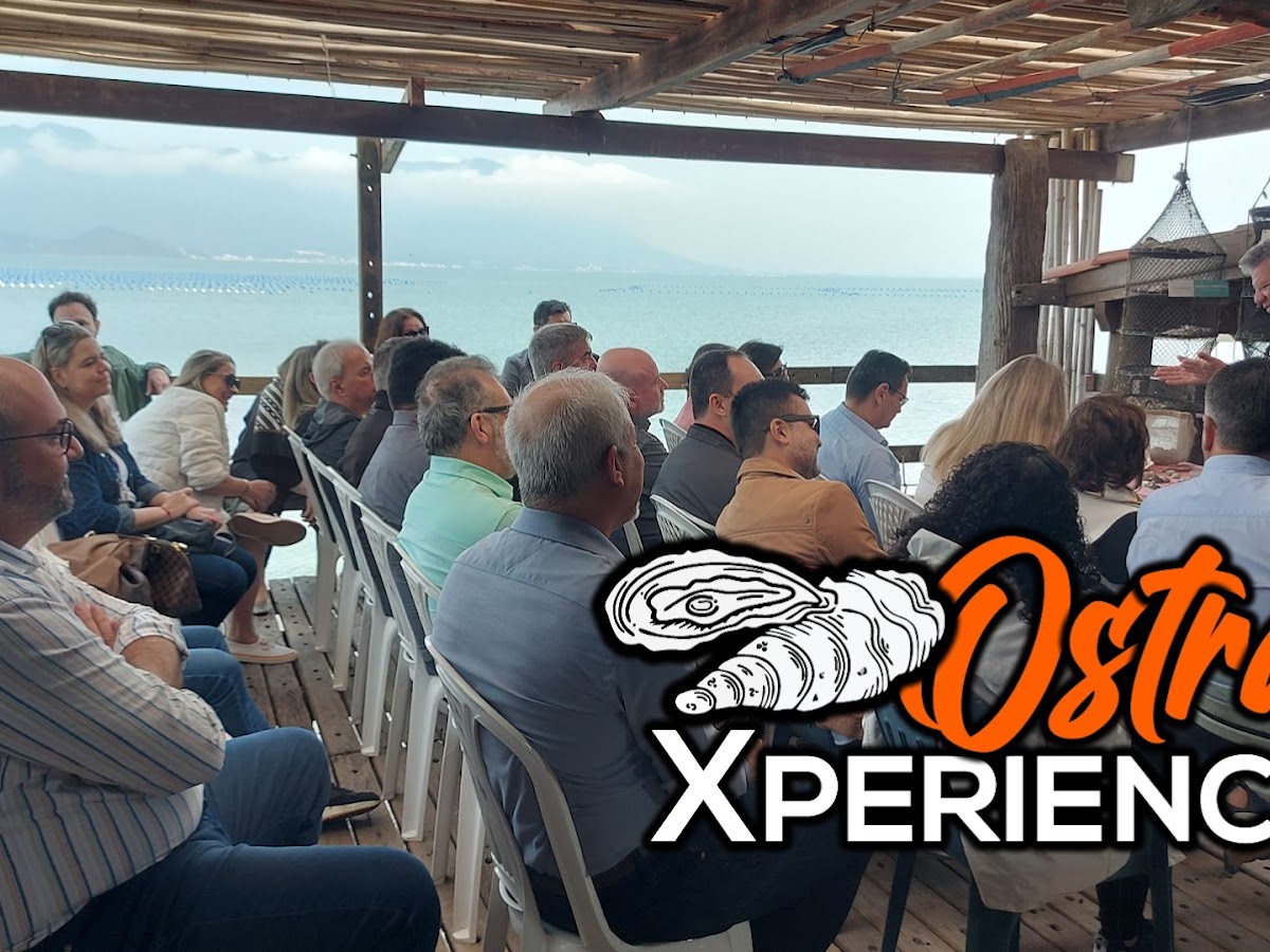 Floripa Xperience - Turismo de experiência em Florianópolis e Região. em Florianópolis — foto 4
