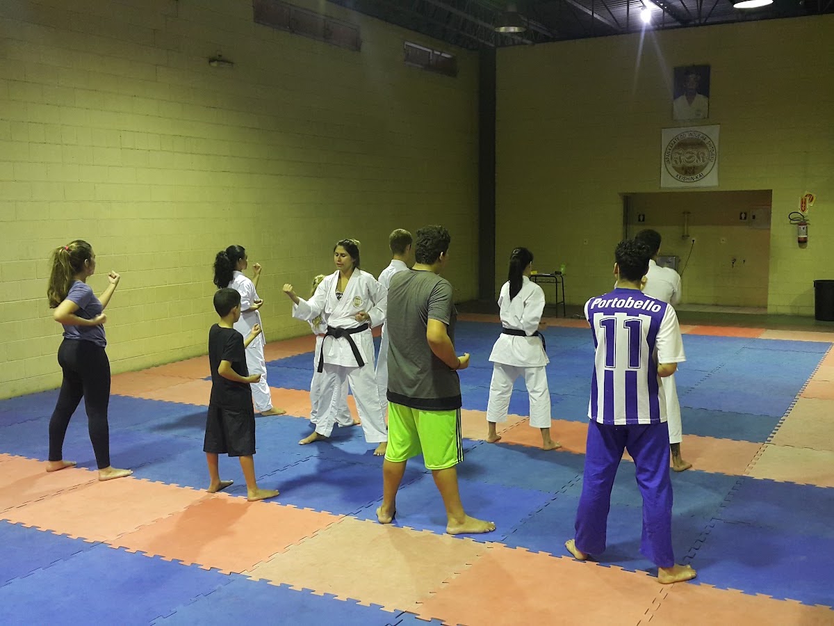 Ginásio Municipal Capitão Waldir Schmidt em Florianópolis — foto 3