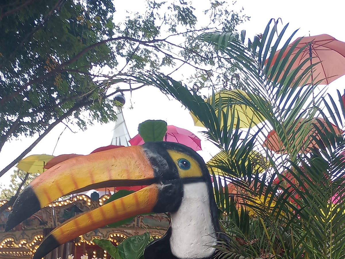 Grace Turismo Florianópolis em Florianópolis — foto 4
