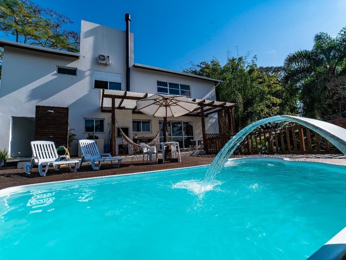Gralha Azul em Florianópolis — foto 1