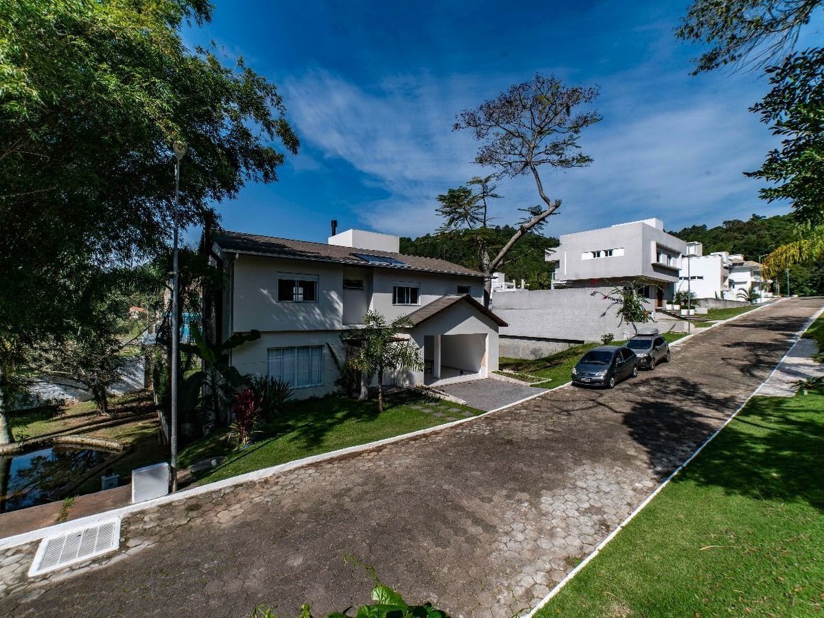 Gralha Azul em Florianópolis — foto 3
