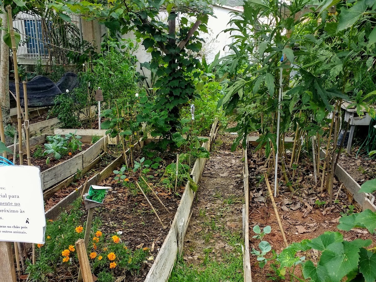 Horta comunitária da Daniela em Florianópolis — foto 1