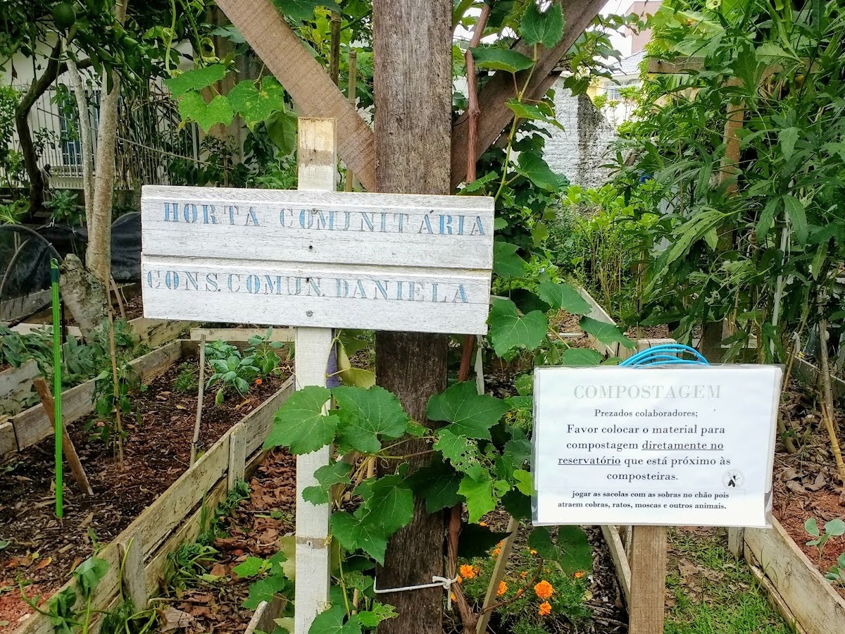 Horta comunitária da Daniela em Florianópolis — foto 3