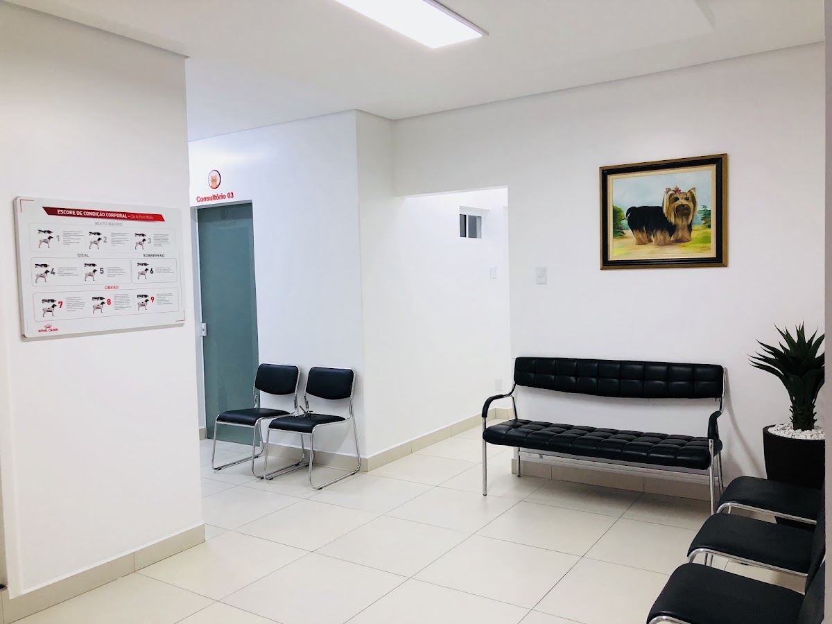 Hospital Veterinário 3 Irmãos 24h Florianópolis em Florianópolis — foto 3