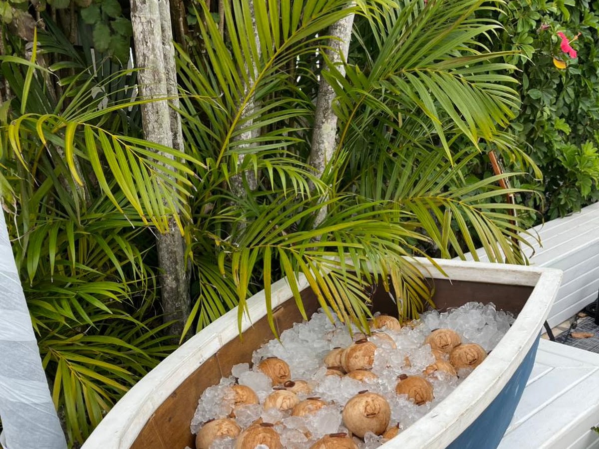 Ilha Cocos em Florianópolis — foto 3
