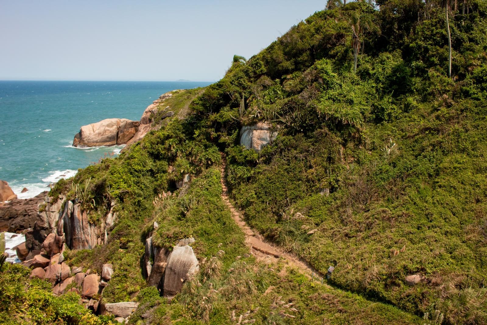 Trilha na mata e no costão da Ilha do Campeche