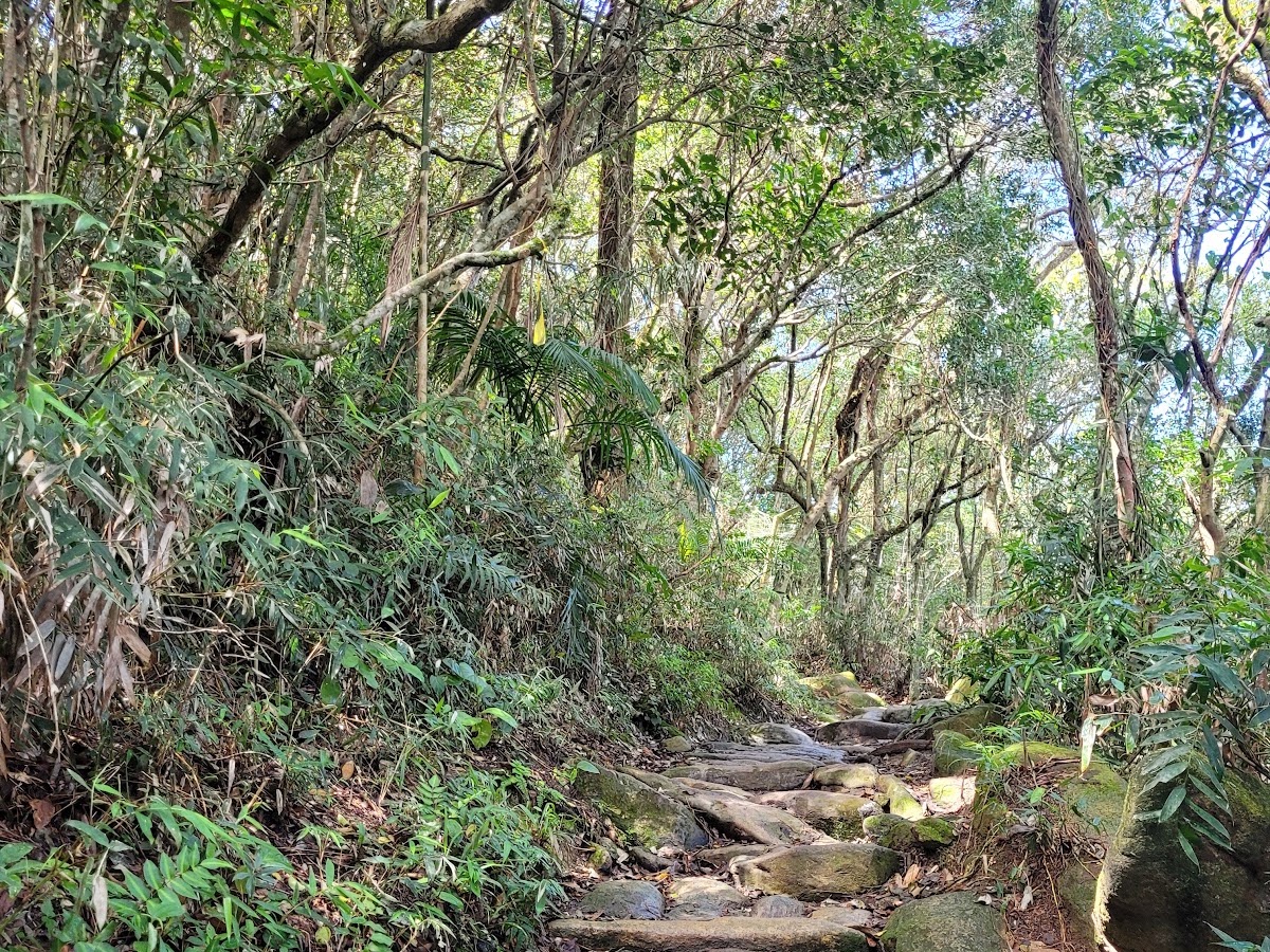Início da Trilha da Lagoinha do Leste em Florianópolis — foto 3