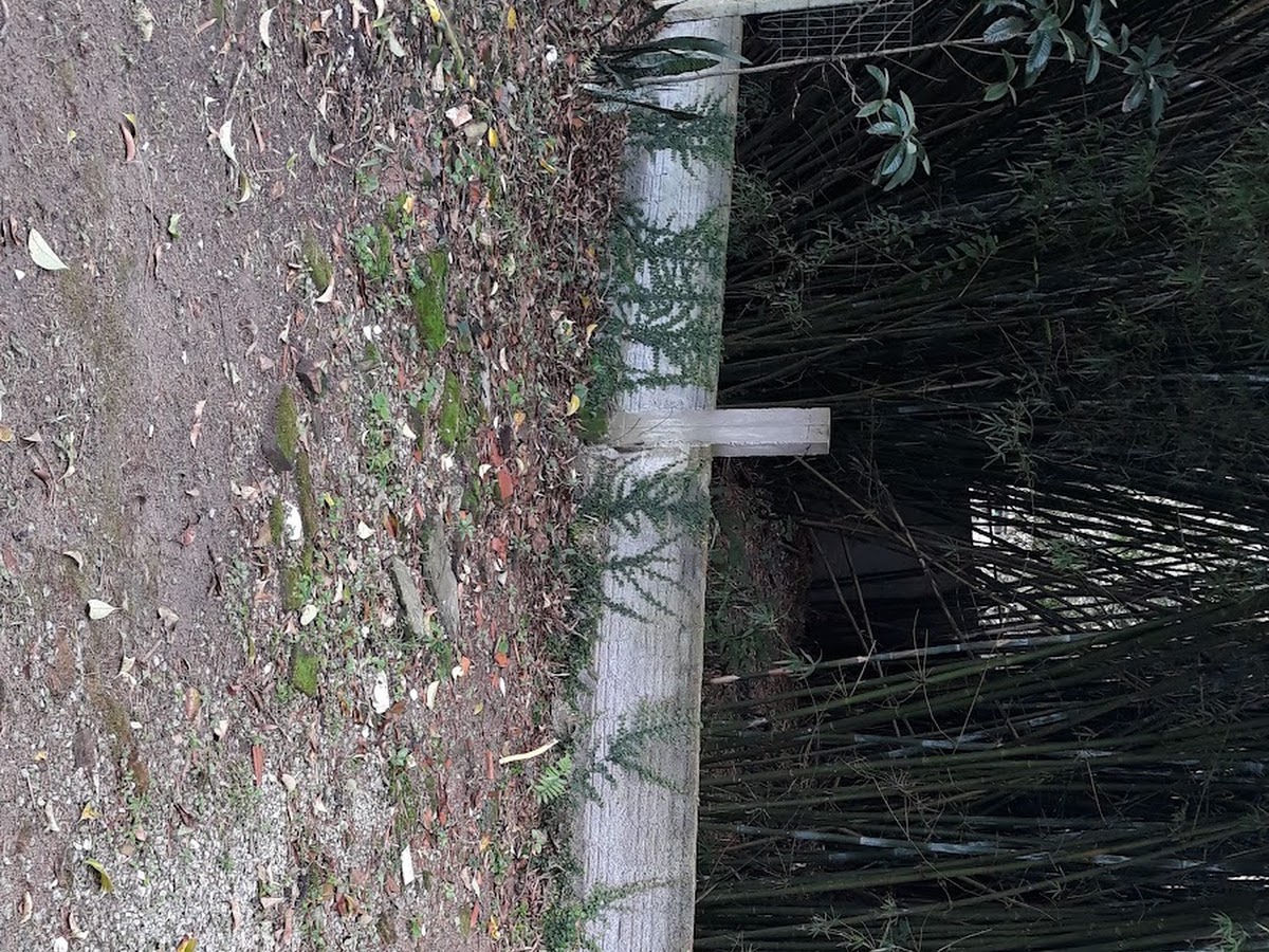 Foto da Instituição de Caridade e Apoio ao Desamparado-ICAD