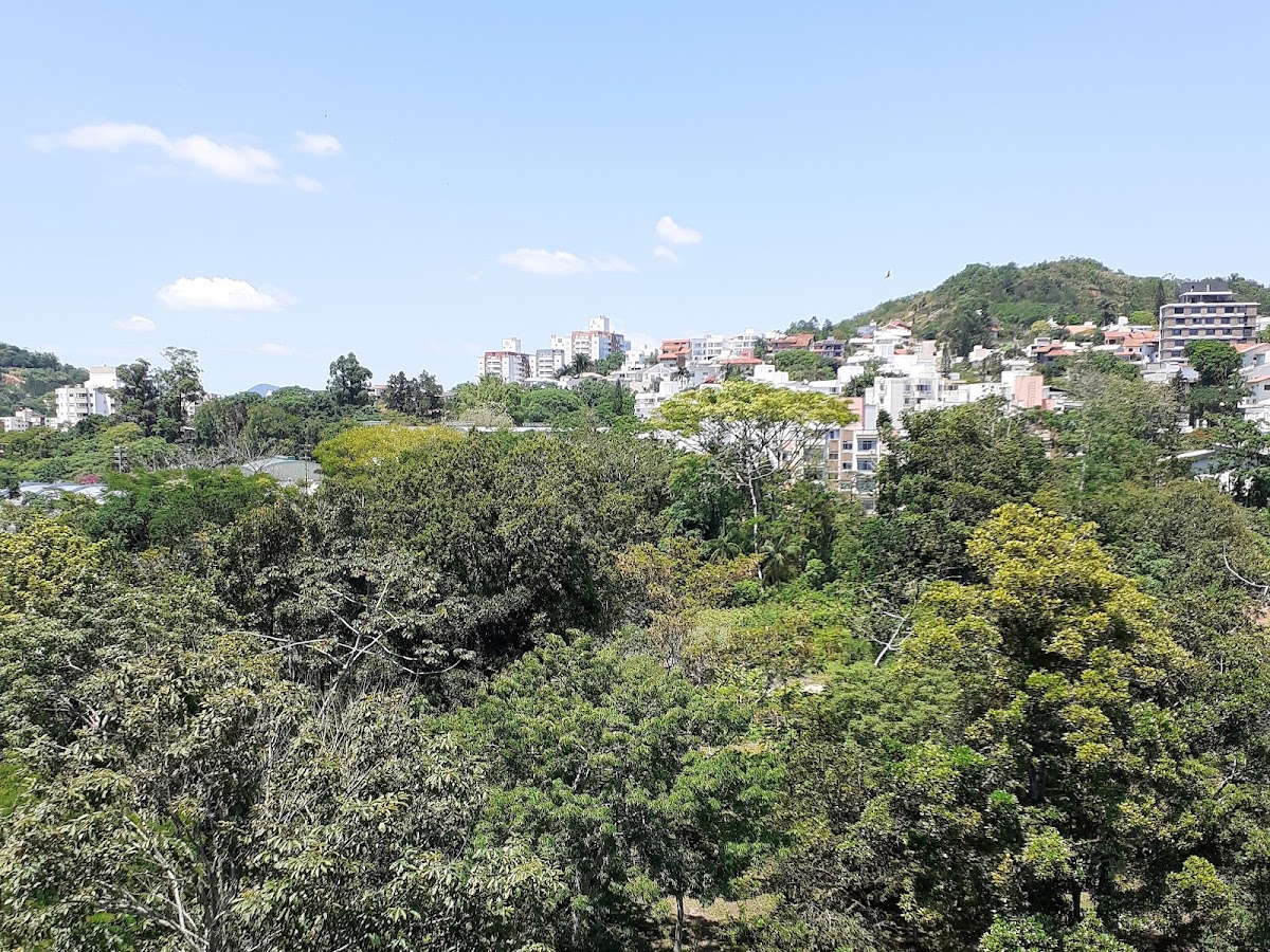 Instituto de Estudos de Gênero - IEG/UFSC em Florianópolis — foto 3