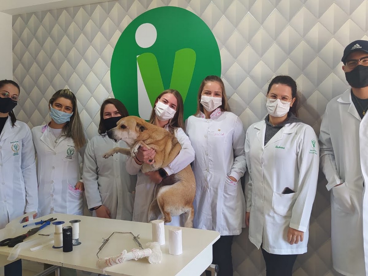 InstitutoVet em Florianópolis — foto 1