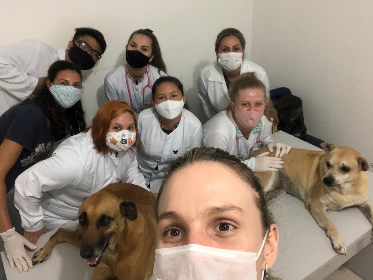 InstitutoVet em Florianópolis — foto 3