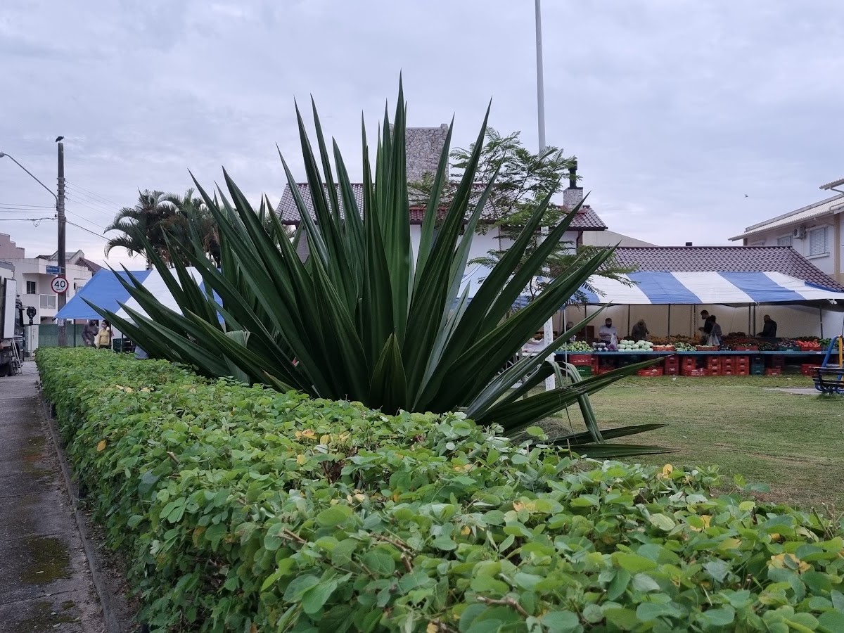 Foto da Jardim Califórnia