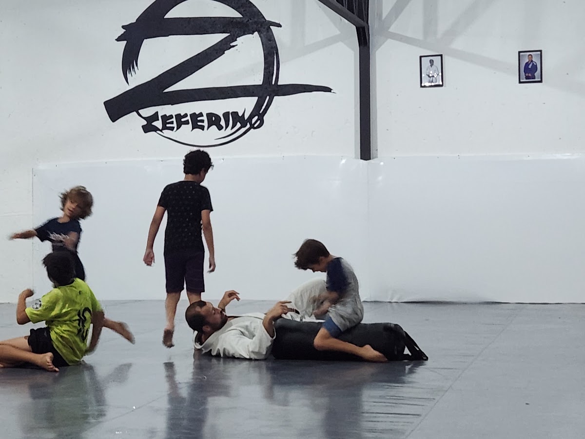 Joao Zeferino Academy em Florianópolis — foto 4