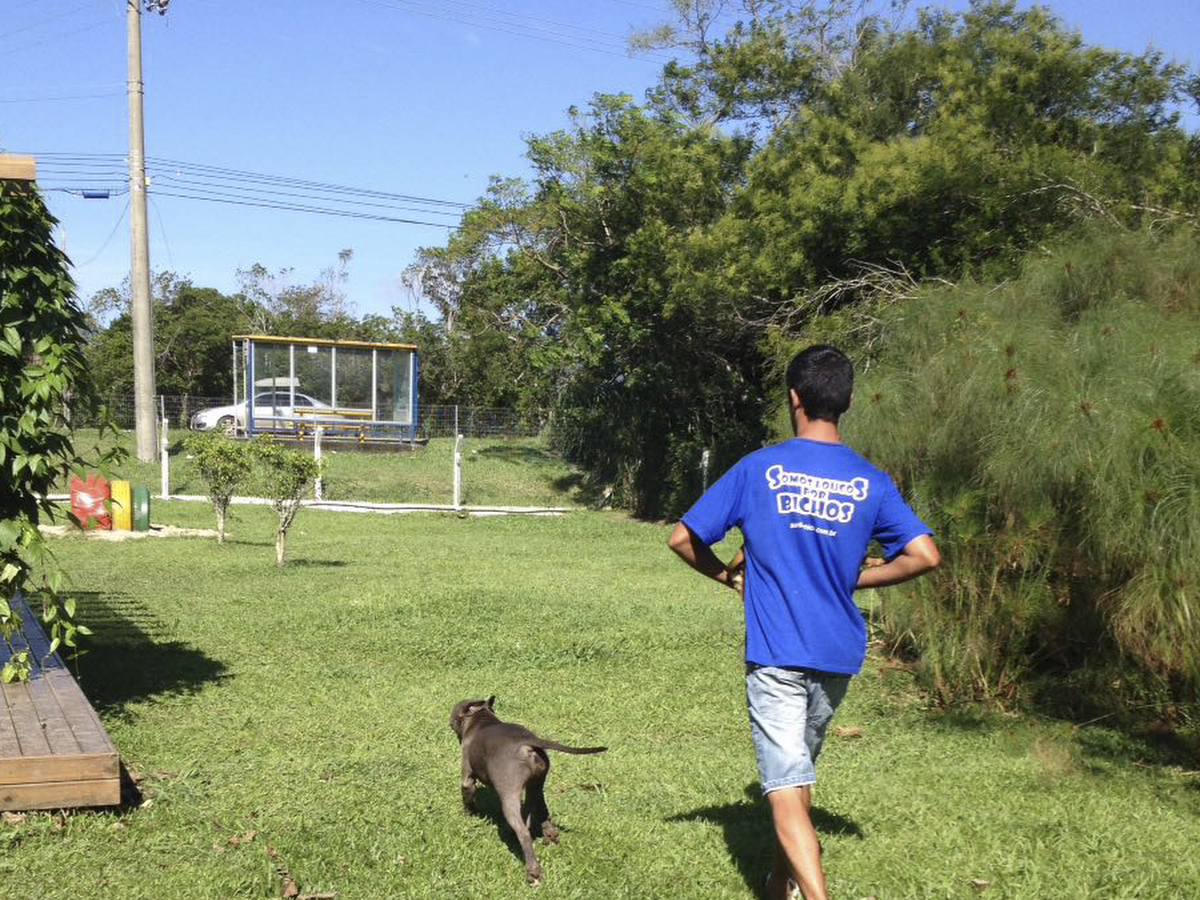 Foto da Jurerê Espaço Pet