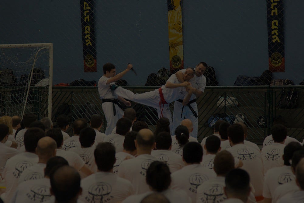 Krav Maga João Paulo em Florianópolis — foto 3