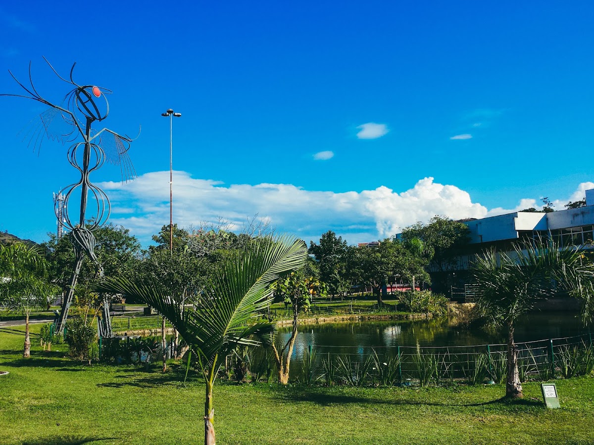 Lago da UFSC em Florianópolis — foto 1