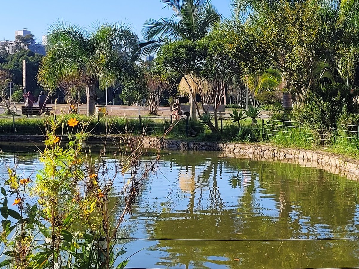 Lago da UFSC em Florianópolis — foto 4