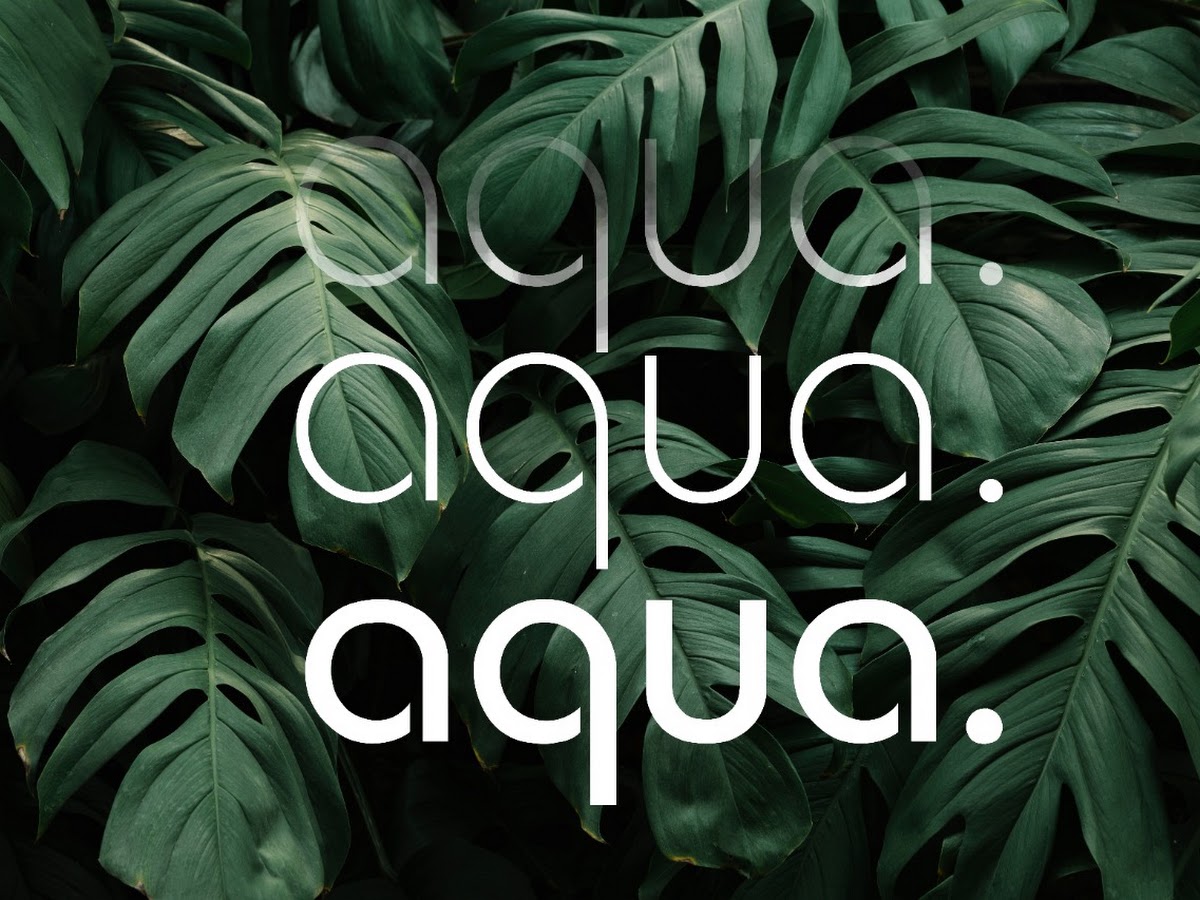Foto da Loja Aquárius