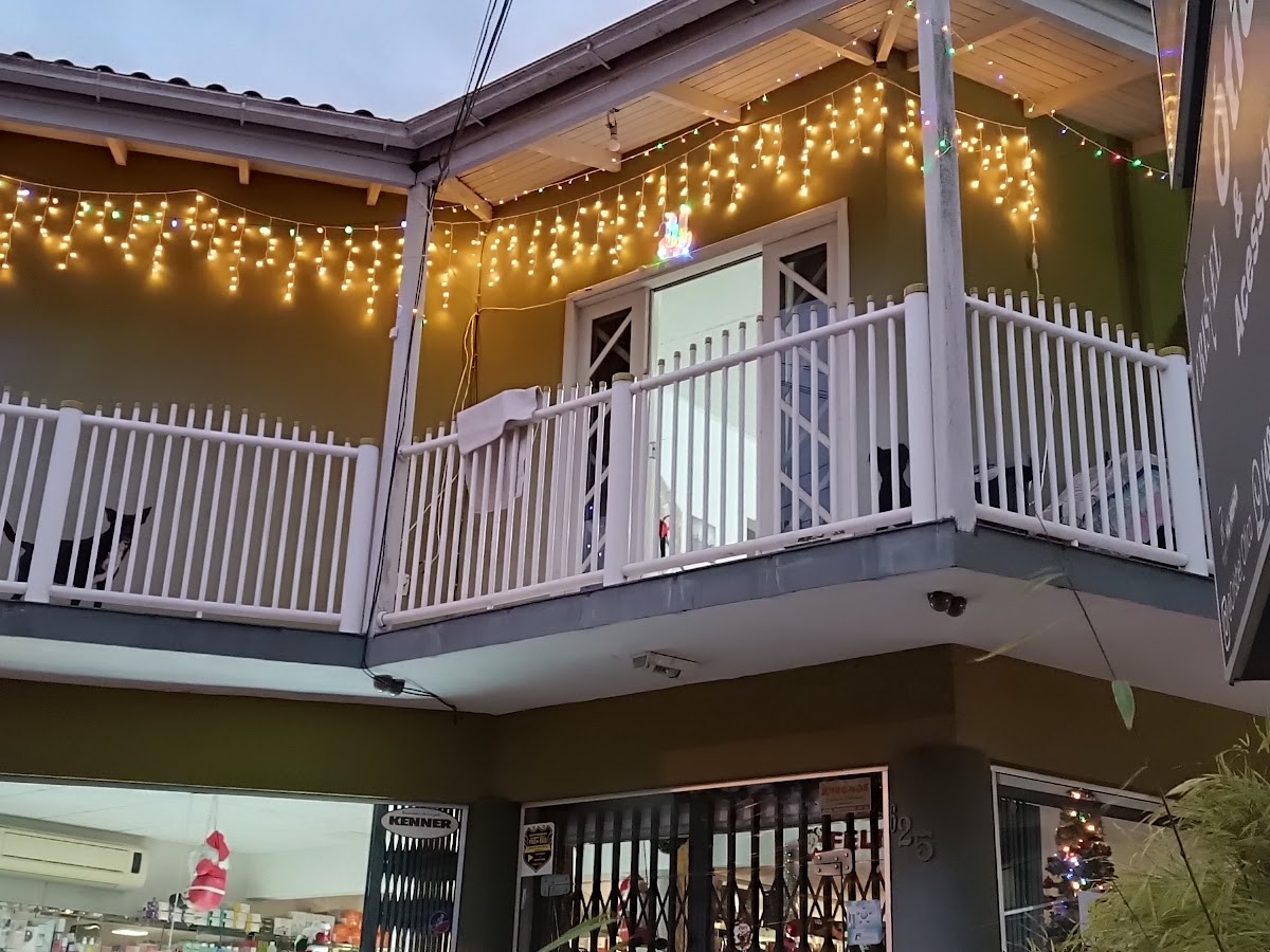 Loja Marizia em Florianópolis — foto 1
