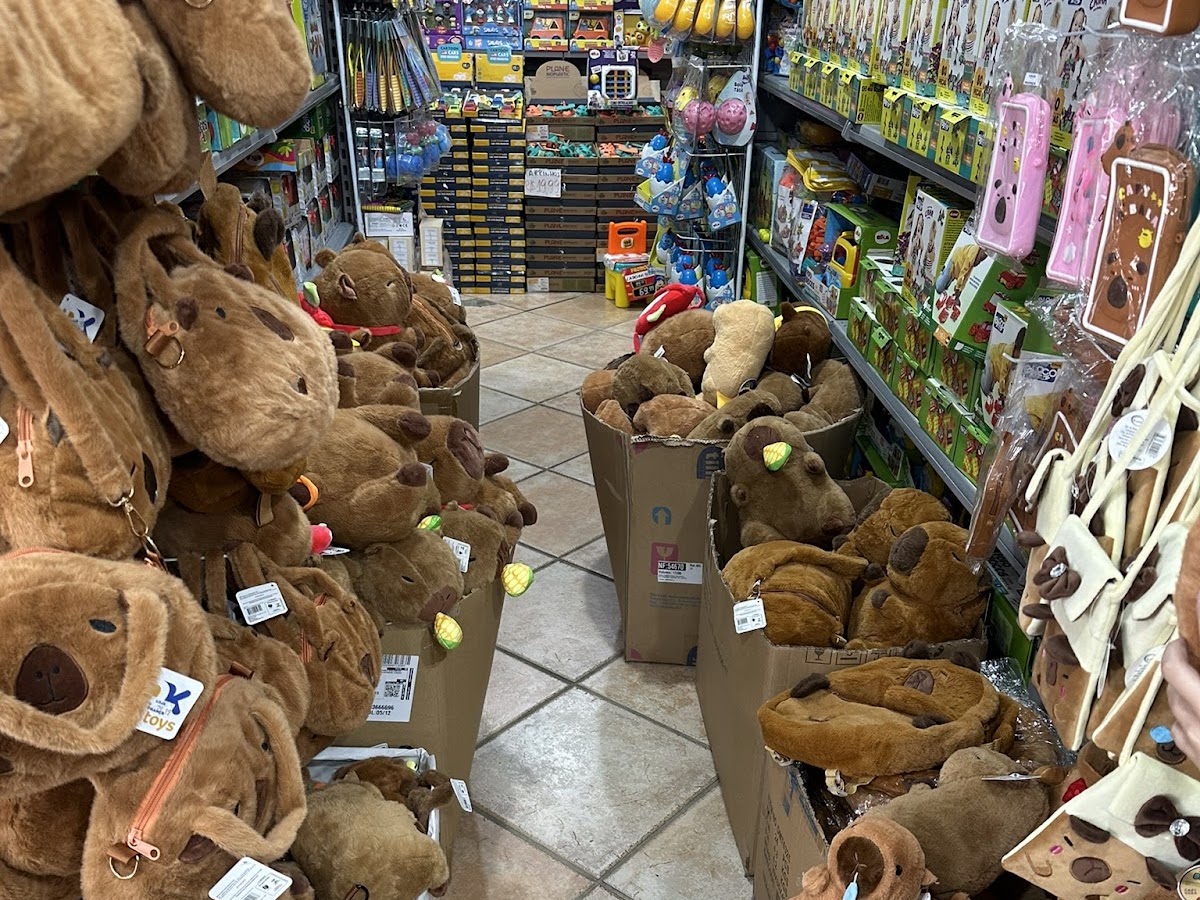 Lojas França em Florianópolis — foto 2