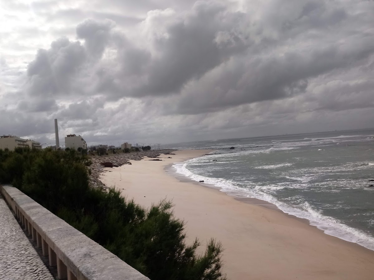 Maiwatur em Florianópolis — foto 3