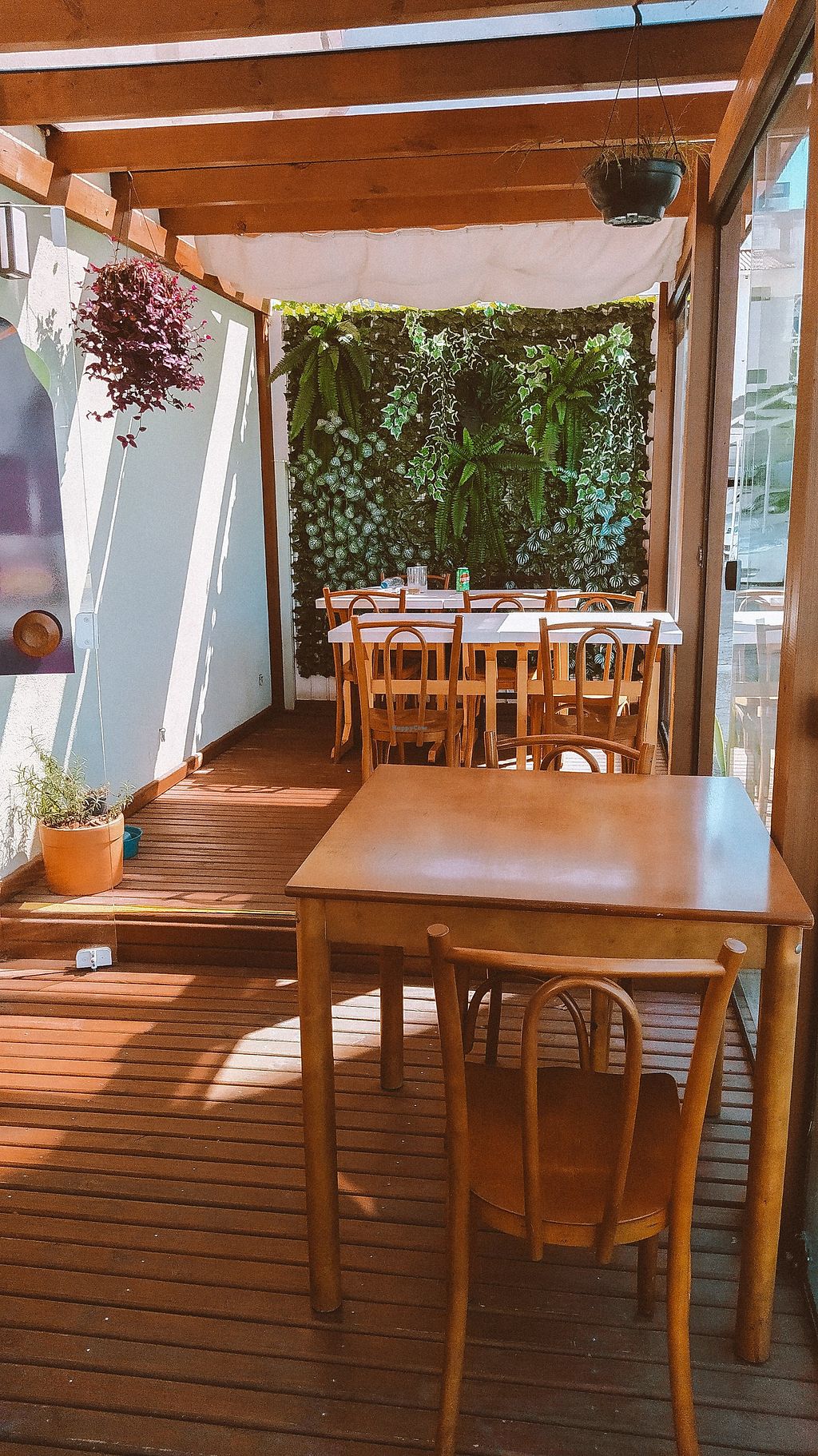 Mamma Veg Floripa em Florianópolis — foto 3