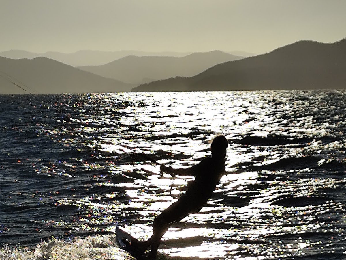 Mané Kite School - aulas de kitesurf Florianópolis em Florianópolis — foto 4