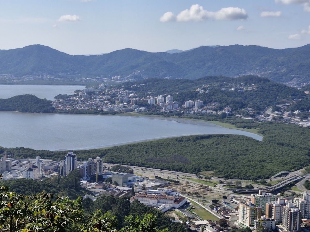 Manguezal do Itacorubi em Florianópolis — foto 2