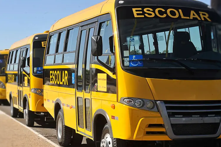 Manual do Trânsito em Florianópolis — foto 4
