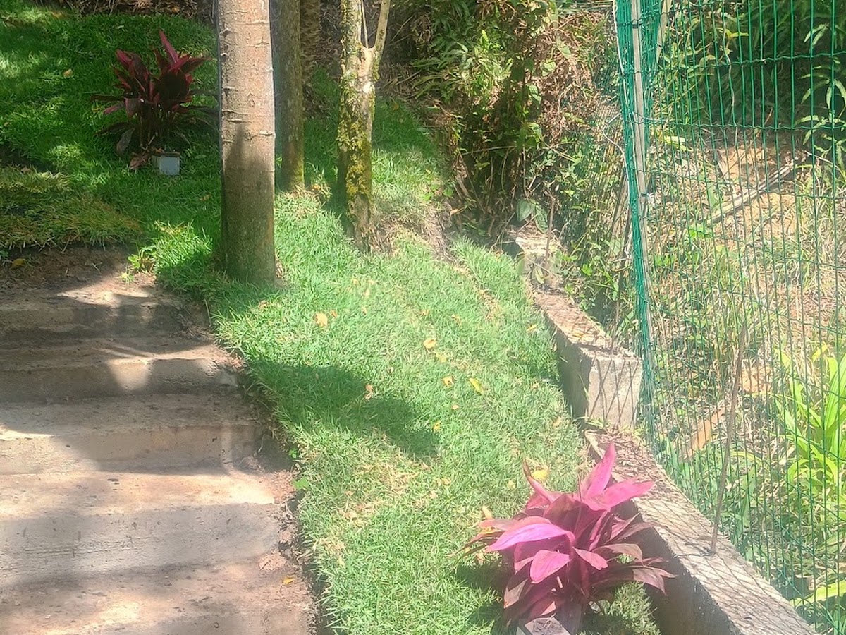 Marido de aluguel-danielsilva em Florianópolis — foto 2